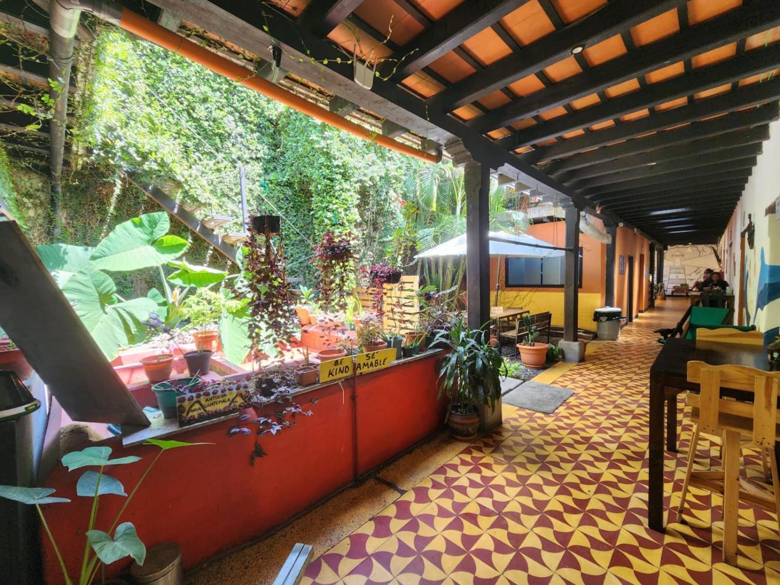 Amura Hostal アンティグア・グアテマラ エクステリア 写真